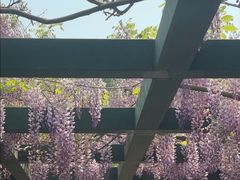 -北京市劳动人民文化宫(太庙)