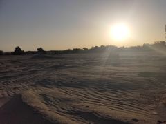 -金塔沙漠胡杨林景区