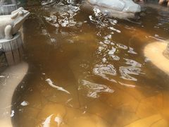 -碧水湾温泉