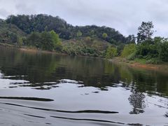 -千岛湖城中湖游船码头