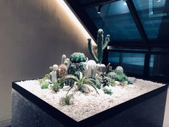 店内布置-大树餐厅(红旗街万达店)