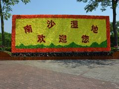 -大湾区中央湿地公园