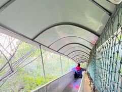 -鸡鸣山旅游风景区