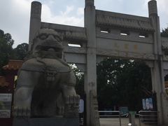 -三水森林公园