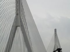 -大渡口区义渡公园