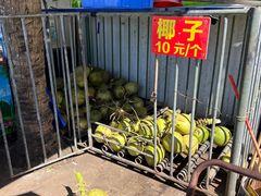 -万绿园