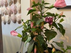 -同乐酒楼(皇后镇店)