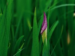 -苏州河梦清园环保主题公园