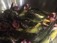 -肖肖酸萝卜鱼火锅(总店)