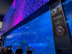 -迪拜水族馆及水下动物园