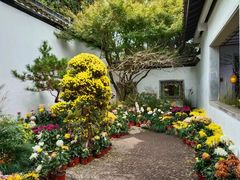 -杭州植物园