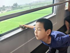 -月星环球港赢在起点早教中心·亲子托班早教体验课儿童兴趣班逻辑思维专注力幼小衔接(普陀中心)