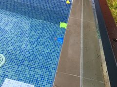 -宠宠熊宠物美容(星湖街店)