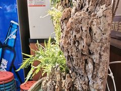 -成老灶火锅鸡(平山店)