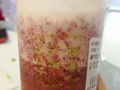 -奈雪的茶(青岛卓悦里INTOWN店)