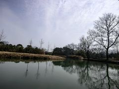 -西溪国家湿地公园