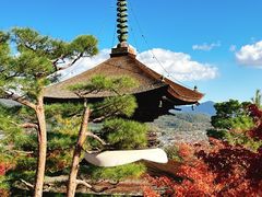 -常寂光寺