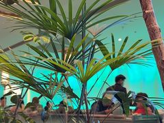 -桂满陇·蟹黄小笼汤包(巴黎春天浦建店)