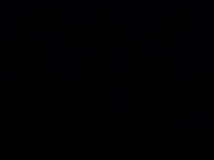 -老枝花滷(鹭岛店)