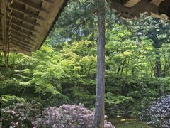 -三千院