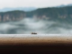 -广东大峡谷