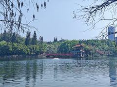 -深圳龙潭公园