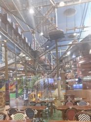 -卡通尼·Safari非洲探索乐园·生日会(金桥国际商业广场店)