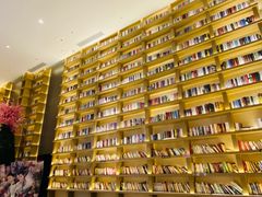 -深影国际影城(学院南路店CGS中国巨幕店)