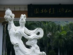 -深圳仙湖植物园