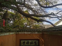 -普陀山慧济禅寺