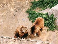 -石家庄市动物园