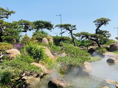 -罗红摄影艺术馆