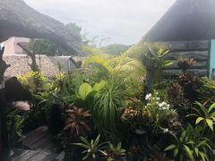 -自然餐厅(Phuket)