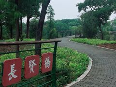 -尚贤河湿地
