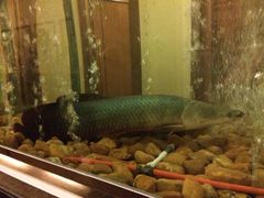 奥威斯酒店-肇庆奥威斯酒店