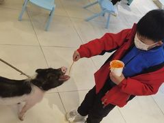 -怪兽屋·羊驼·猫咖·狗咖(俊华广场店)