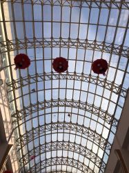 -上海交通大学医学院附属上海儿童医学中心(陆家嘴总院区)