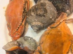 -半岛听涛蒸汽海鲜自助(K11店)