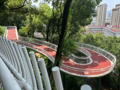 -金鸡山公园