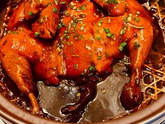 -华膳楼·安徽地标美食·中华餐饮名店(文化公园店)