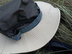 -黄埔油麻山森林公园