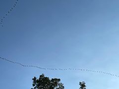 -深圳湾公园(南山区)