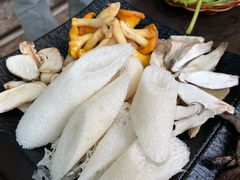 -蘑统田下·野生菌火锅