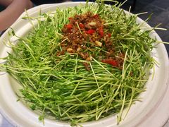 豌豆苗-刘胖子家常菜·蹄花焖藕(中南店)