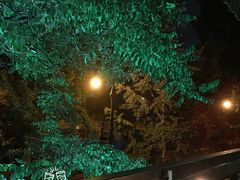 -LAMP BAR 水烟音乐酒吧