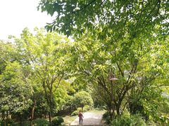 -艾坪山公园