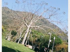 -七娘山