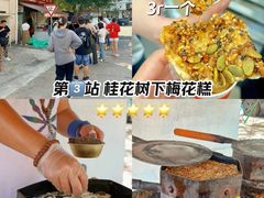 -花园菜市场