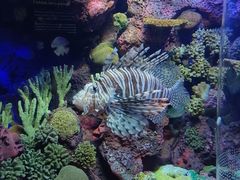 -上海海洋水族馆