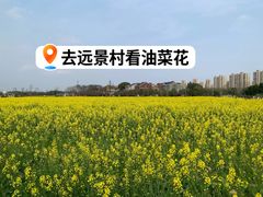 -美兰湖景区